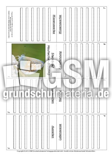 Faltbuch-Hauhechel-Bläuling.pdf